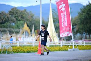 BIB: 
                            <button type="button" onclick="openModal(27833269)" class="btn btn-primary btn-sm float-right btn-popup" data-toggle="modal" data-target=".modal-high-quality">
                        <i class="fas fa-shopping-cart"></i> Add to Cart
                    </button>
                                            <button type="button" onclick="isThisMe(27833269, true)" class="btn btn-success btn-sm float-right btn-popup btn-isme hidden" data-toggle="tooltip" data-placement="bottom" title="นี่คือรูปของคุณใช่ไหม คลิกที่นี่เพื่อเอาเข้าอัลบั้ม">
                        <i class="fas fa-plus"></i> Add to album
                    </button>
                    <button type="button" onclick="isThisMe(27833269, false)" class="btn btn-warning btn-sm float-right btn-popup btn-isnotme hidden">
                        <i class="fas fa-ban"></i> Remove from album
                    </button>